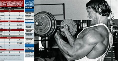 Below, we have two of Arnold’s workout routines, the Arnold split and his insane double split routine. We will detail these workouts with a weekly schedule, …